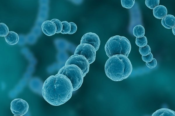 Infectious Diseases Microscopic View